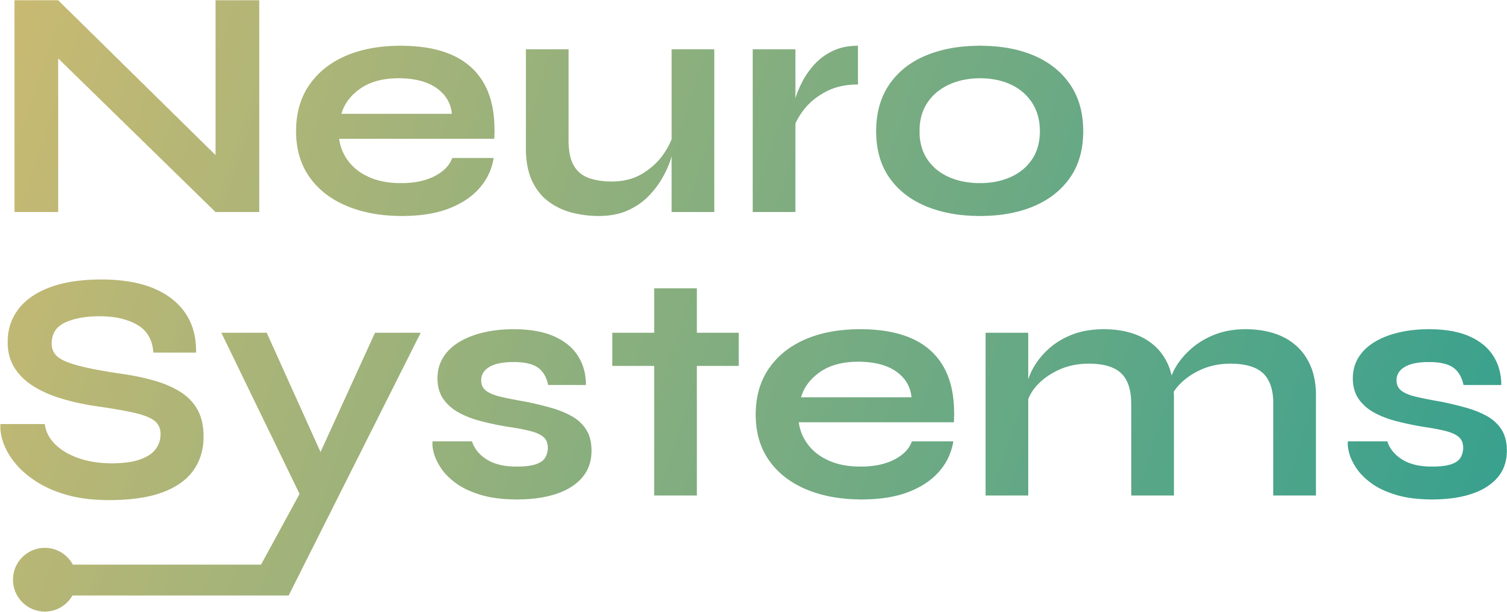 Neuro Systems